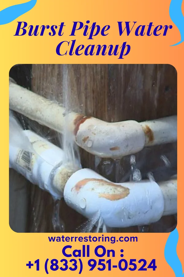 Burst Pipe Water Cleanup in Taconite, MN