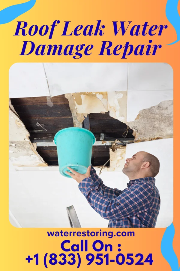 Roof Leak Water Damage Repair in Taconite, MN